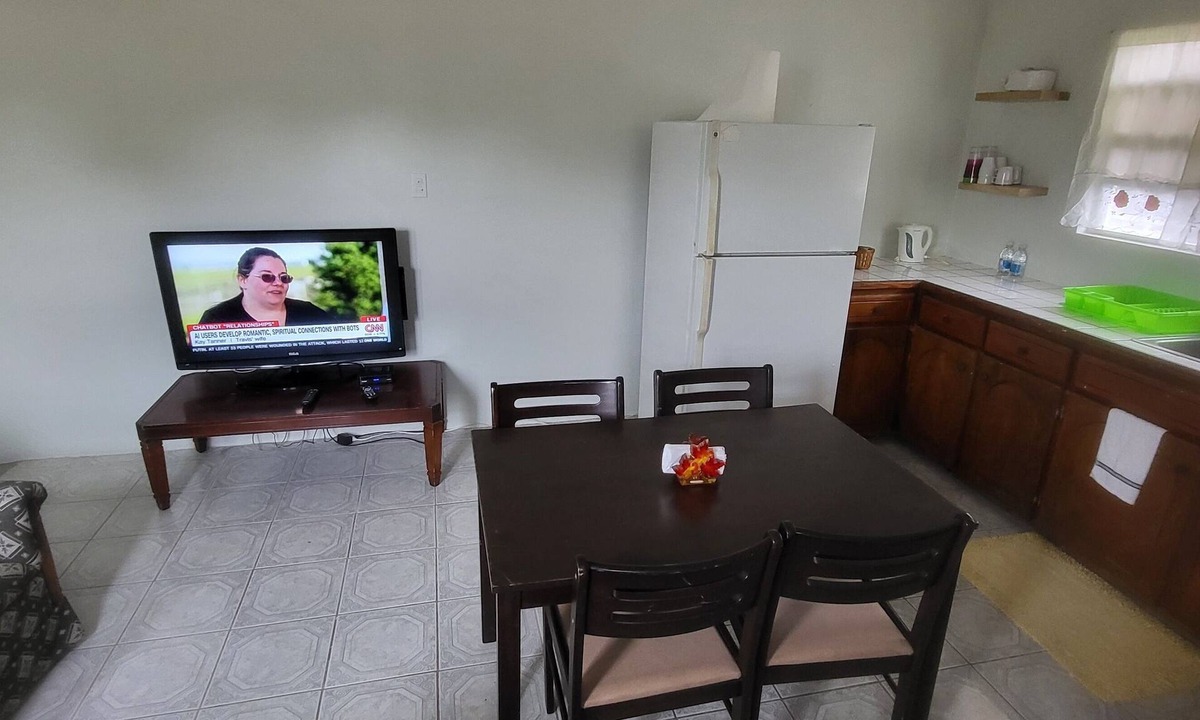 Newcastle Apartment | Charming 2-bedroom apartment in New Castle with WiFi, AC and full laundry