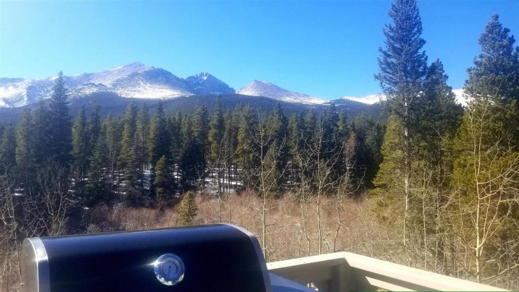 Estes Park House | Moose Hollow