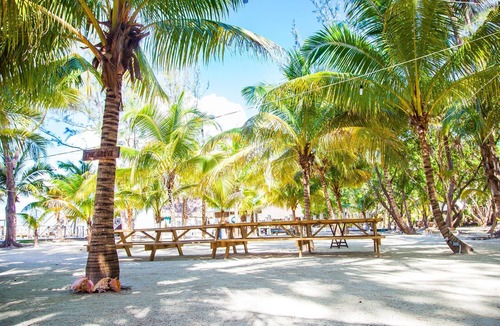 Thatch Caye Resort | Penthouse Oceanfront Cabana w/Private Ocean-Facing Balcony & Amazing Views