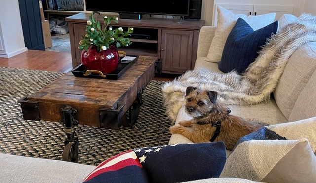 A Step Away: The Retreat – Walk to Town Escape in Saugatuck