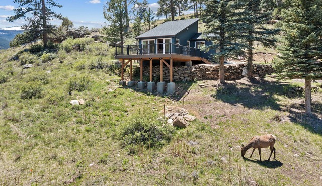 Cabin Retreat Updated Rocky Mountain Views Backs to Rocky Mountain Park! in Estes Park