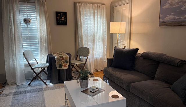 Charming, comfortable 1 Bedroom/1Bath on gorgeous historic street. in Kalamazoo