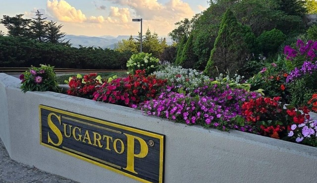 Charming Sky Blue 2-Bedroom Condo in Sugar Mountain with Resort Amenities in Sugar Mountain