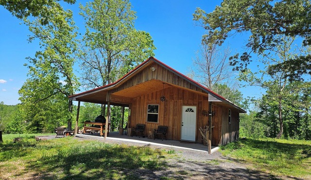 Cozy 1-bedroom cabin near the lower Buffalo National River. in Harriet