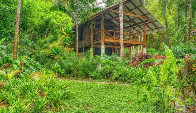 Eco Jungle Cabin in Cabo Matapalo – Near Corcovado, Surf, Wildlife, & Sleeps 6 in puerto jimenez
