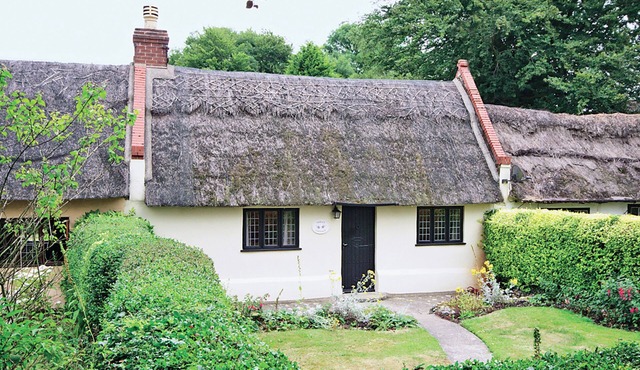 Enchanted by thatch and character. in Great Yarmouth