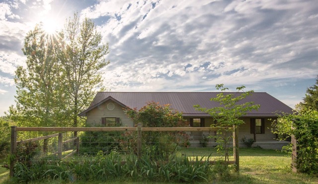 Farm house overlooking pastures by the Buffalo River. Perfect starry nights. in Harriet