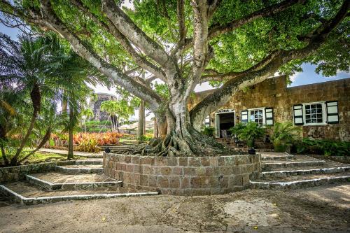 Montpelier Nevis