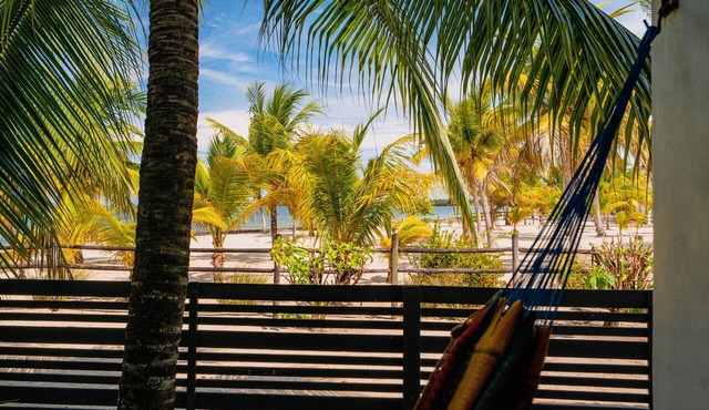 OHANA - DOWNDEH Cosy new apartment ON the beach IN Placencia village in Placencia