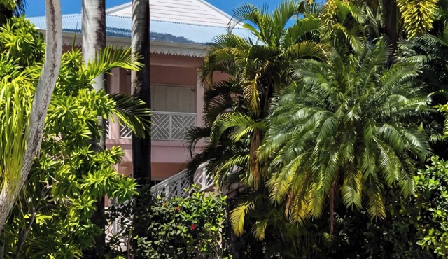 Palm Garden Nevis