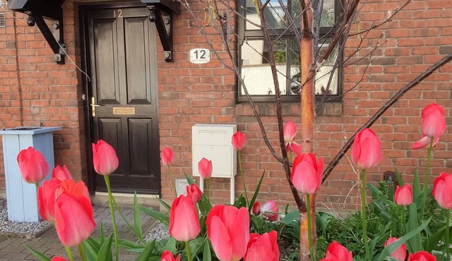 Quiet City Townhouse within 5 mins of all attractions in Dublin 8