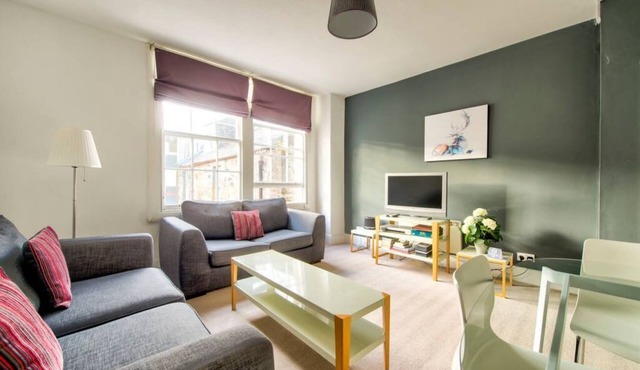 Spacious Apartment in Edinburgh's City Centre in Edinburgh