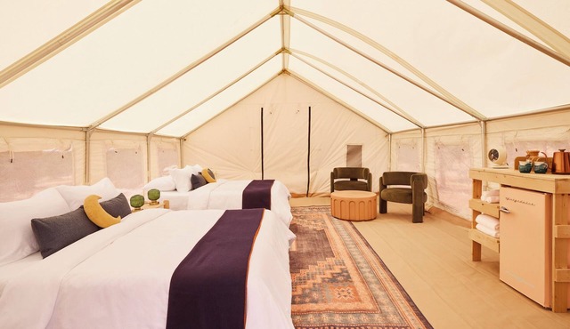 The Space Station- A stargazing experience at a boutique campground in Williams