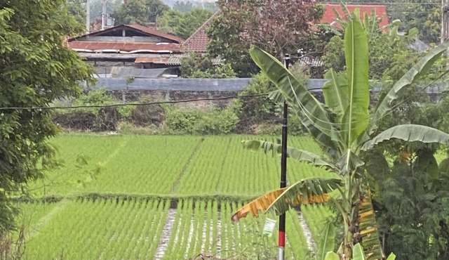 VILLA MIKE in Jogja