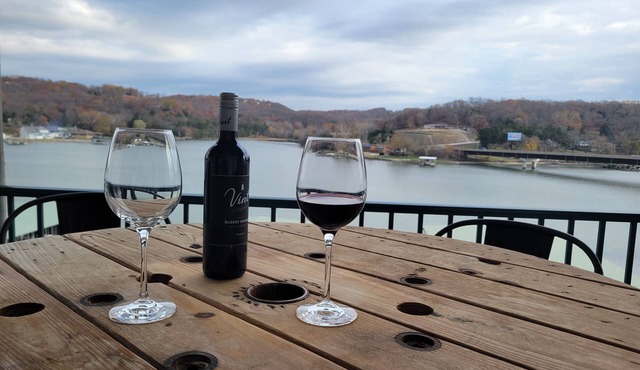 Year Round Relaxation with Beautiful Lake View for Creating Great Memories! in Camdenton