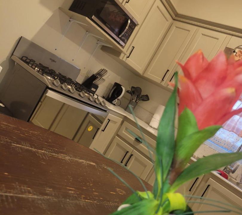 Monkey Hill Apartment | It's Time For A Getaway!