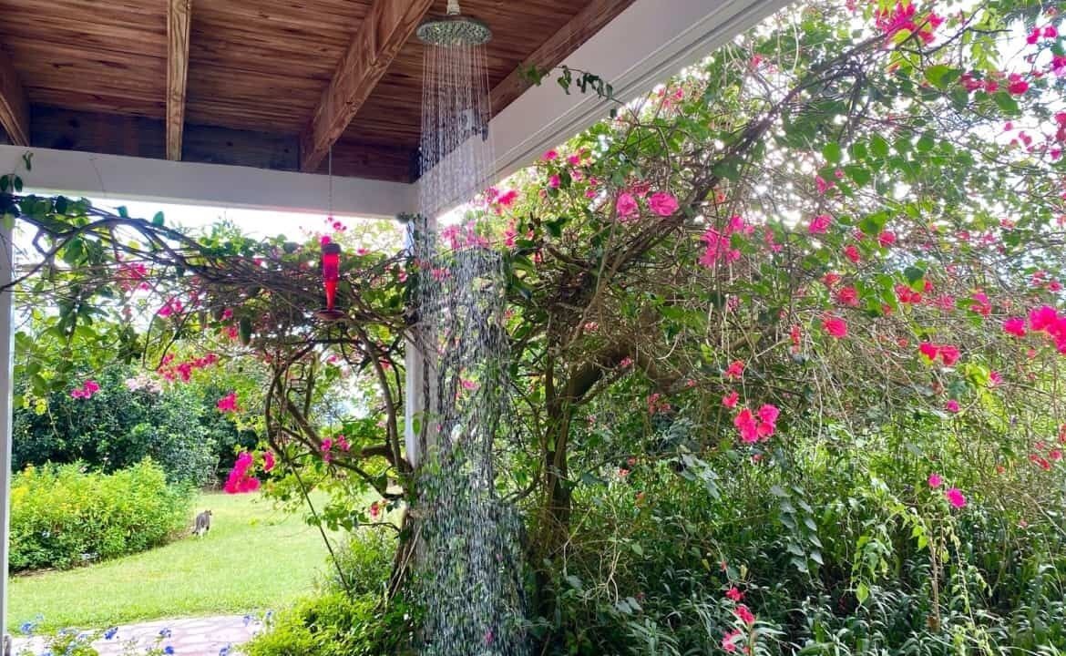 Photo of Outdoor in Pond Hill
