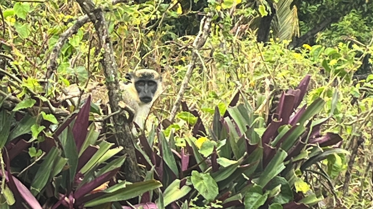 Photo of Others in Pond Hill