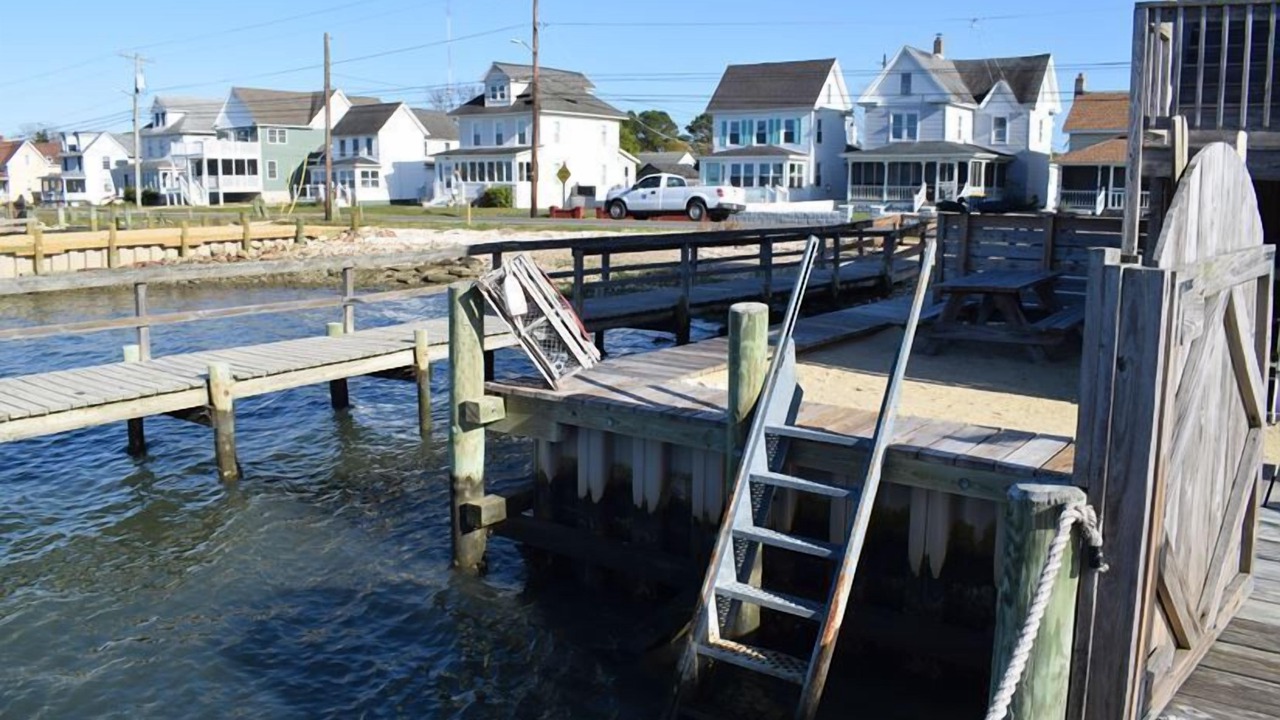 Photo of Others in Chincoteague