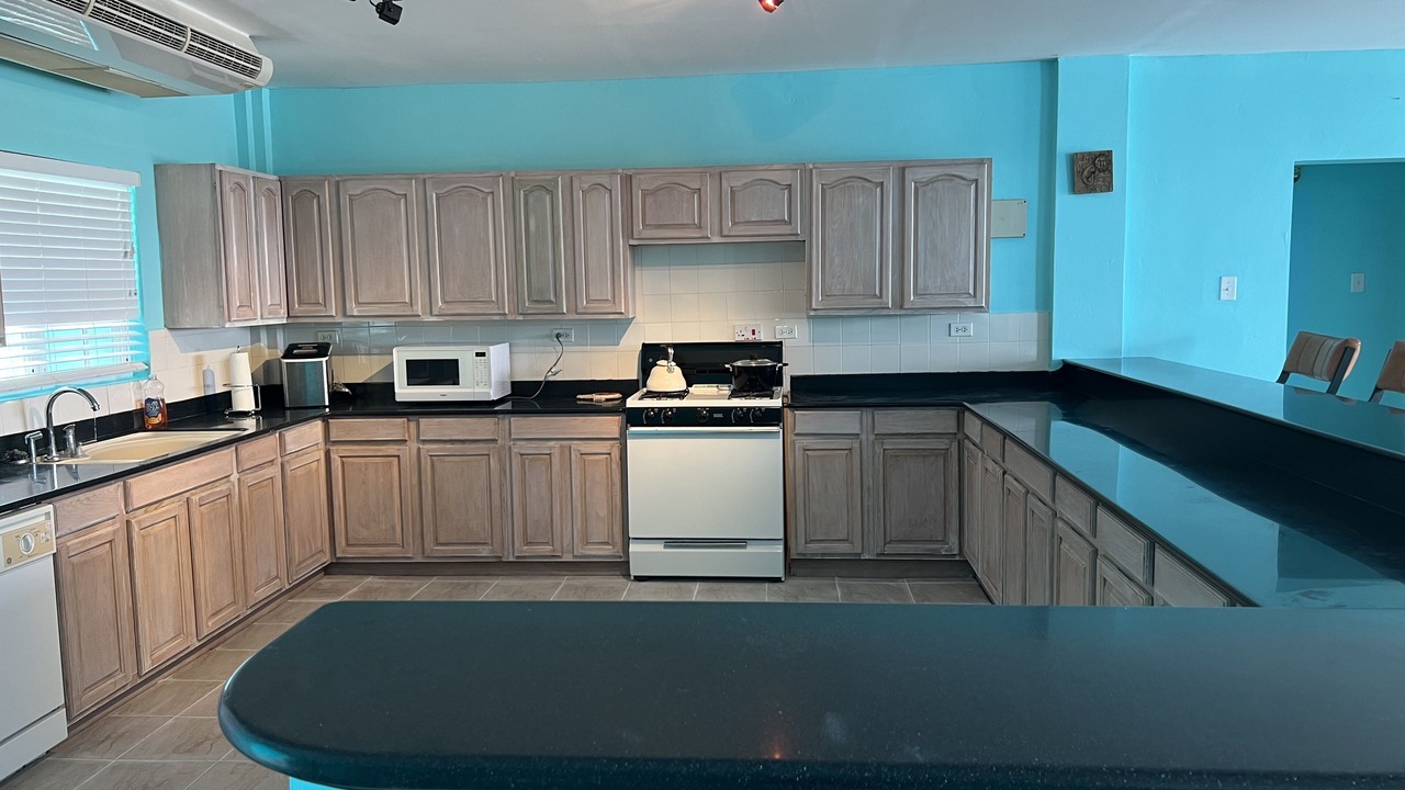 Photo of Kitchen in Frigate Bay