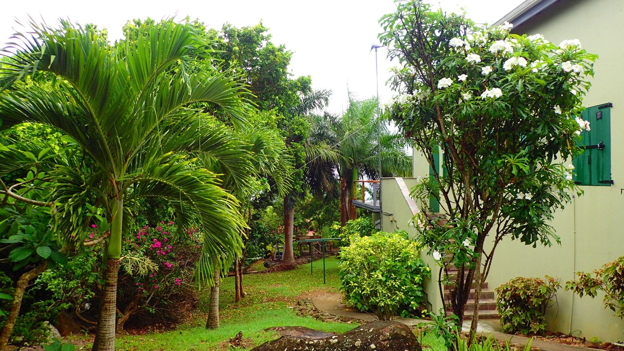 Photo of Outdoor in Pond Hill