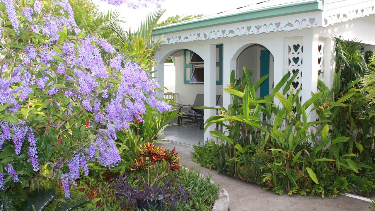Photo of Outdoor in Oualie Bay
