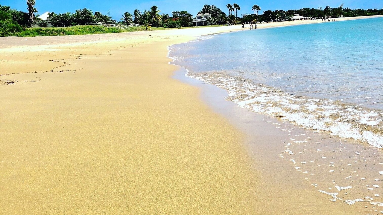 Photo of Others in Cades Bay