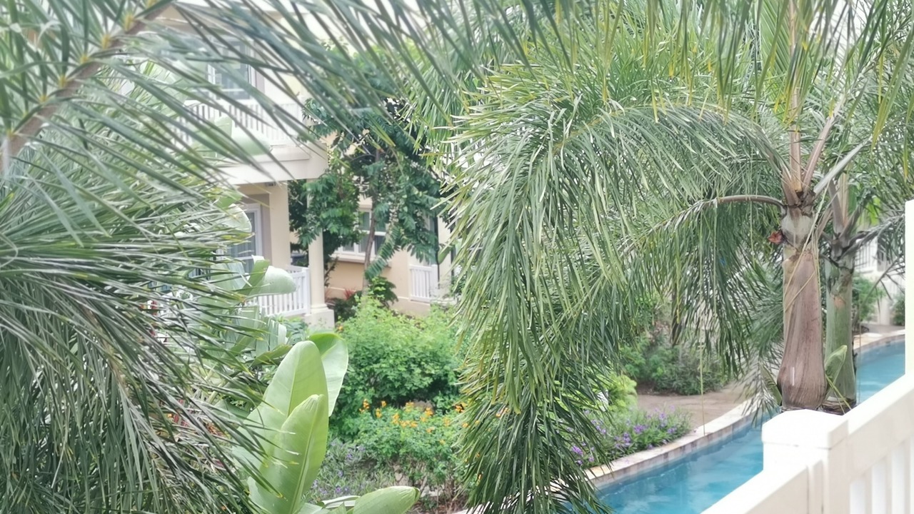 Photo of Outdoor in Jessups Village