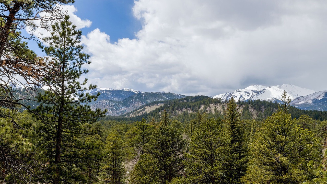 Photo of Others in Aspen Brook