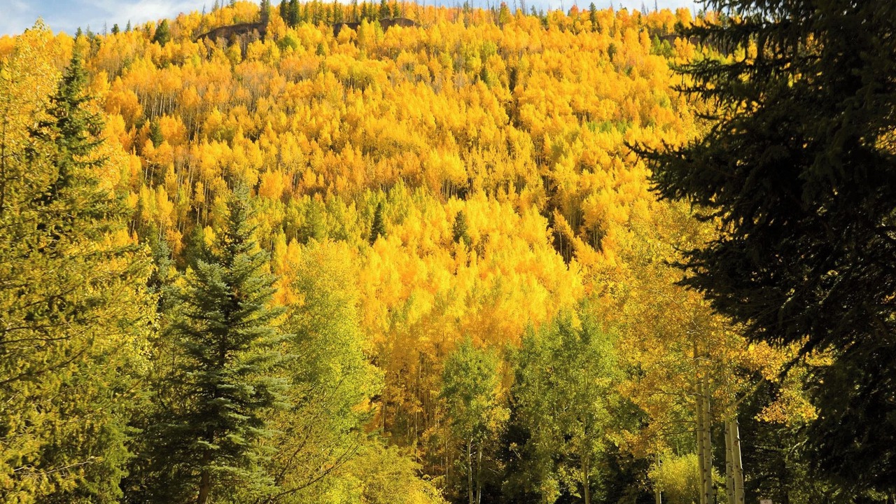 Photo of Others in Eagle-Vail