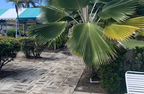 Saint Kitts and Nevis Condo | This cozy condo is just steps from pool & Atlantic Ocean.