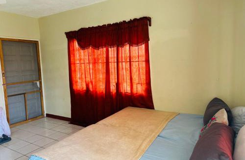 Basseterre House | Guest house 2
