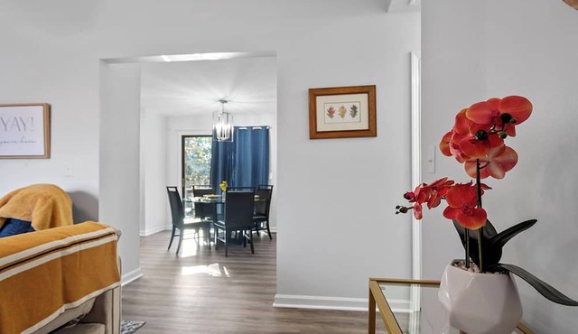 Charming Private Oasis - close to airport, mall, and downtown. in Raleigh